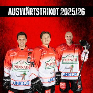 AWAY-Trikot (individuell)