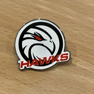 Hawks Pin