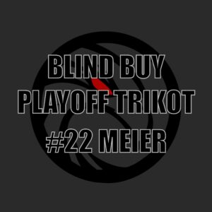 #22 MEIER (XL)