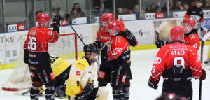 #19 STICHA - game worn (Einzelstück)