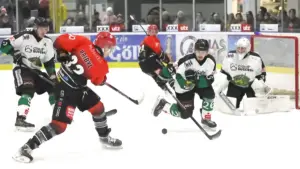 #33 PRIBYL - game worn (Einzelstück)